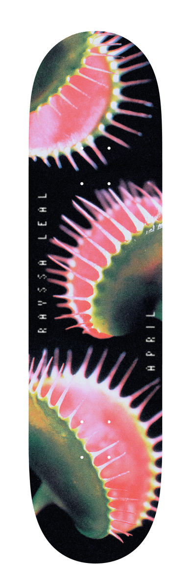 APRIL SNAPPY DECK