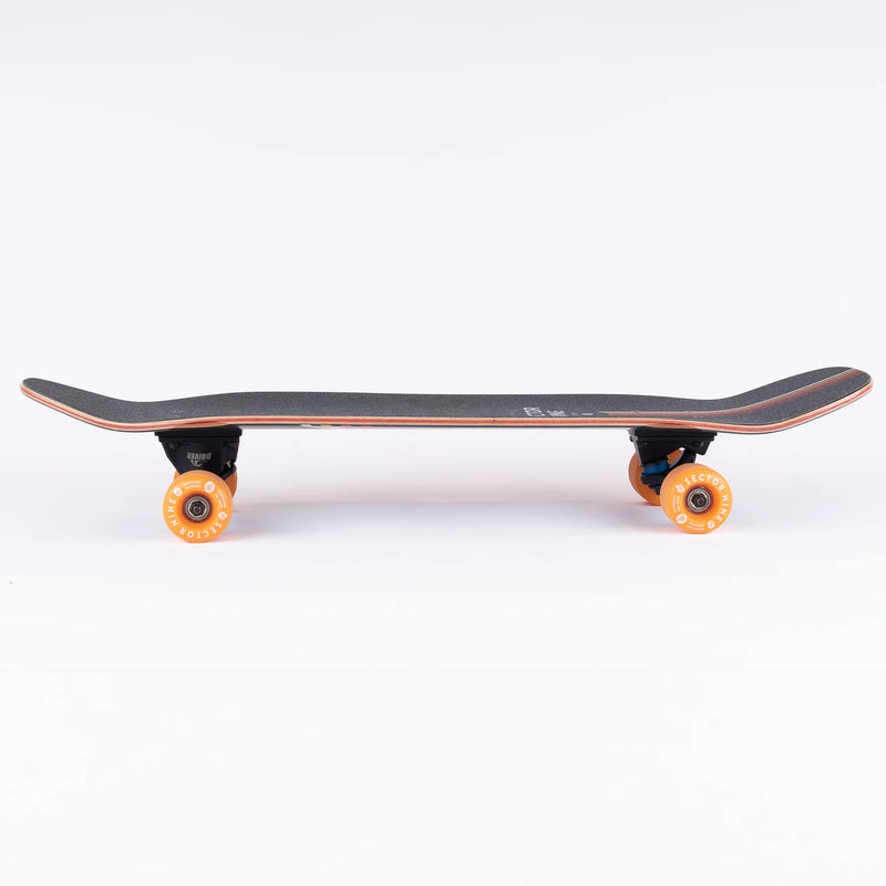 SECTOR 9 ABANDON COMPLETE