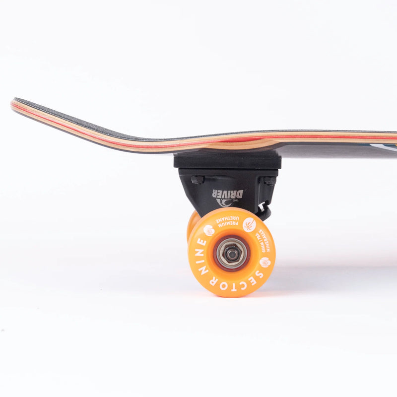 SECTOR 9 ABANDON COMPLETE