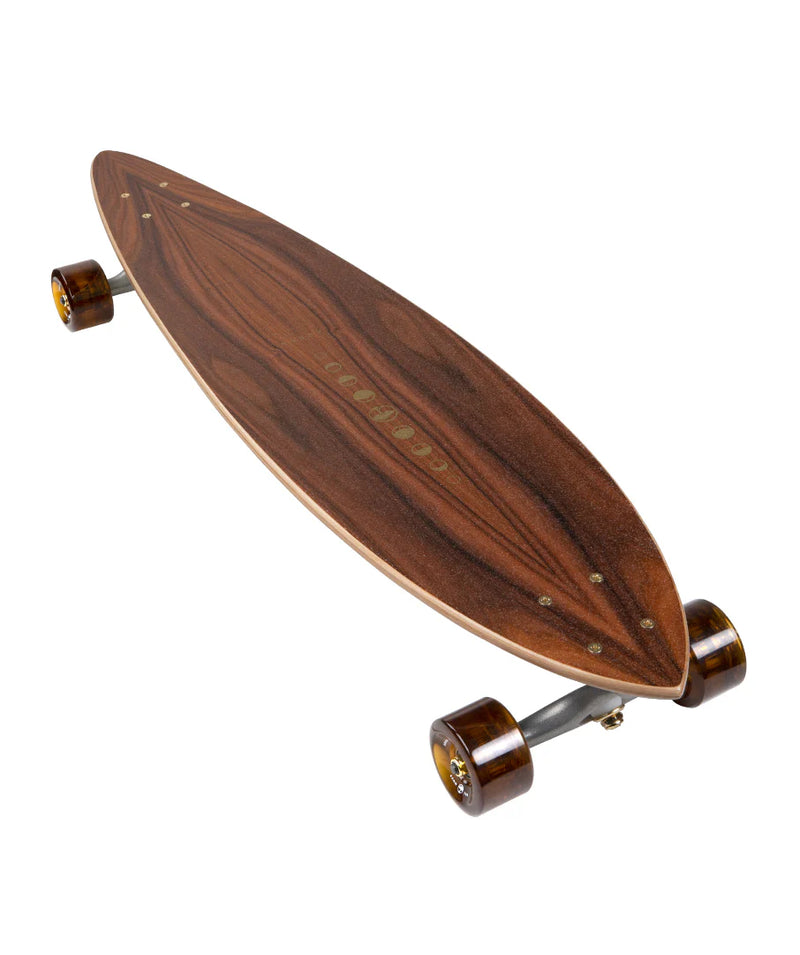 ARBOR SOLSTICE FISH COMPLETE LONGBOARD