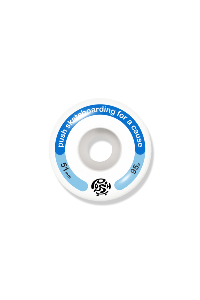 PUSH COMPLETE SKATEBOARD