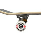 BIRDHOUSE SKULL 2 CHROME COMPLETE