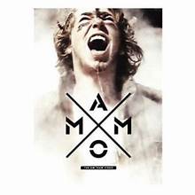 THIRTY TWO AND ETNIES AMMO SNOWBOARD DVD