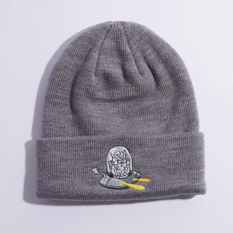 COAL THE CRAVE KIDS BEANIE