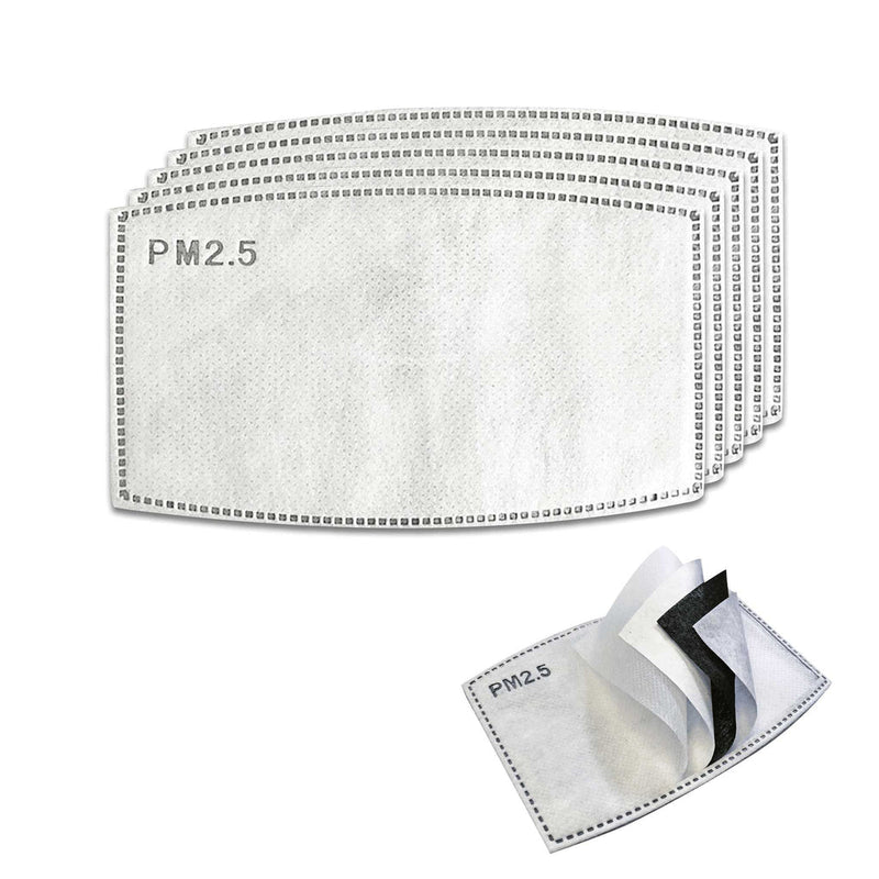 COAL THE FACE MASK PM 2.5 CARBON FILTER